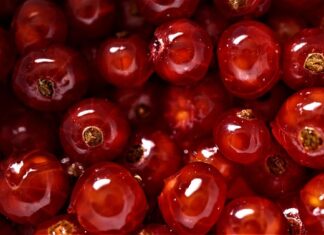 Co zrobić by być lepiej zorganizowanym? Co zrobić by być lepiej zorganizowanym?