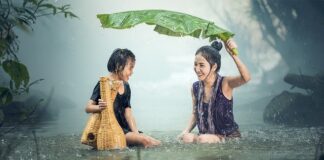 Jakie znaczenie dla badań i nauki ma tradycja?