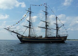 Czego najwięcej eksportujemy? Czego najwięcej eksportujemy?