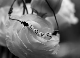 Co znaczy 1000 ZZS? Co znaczy 1000 ZZS?