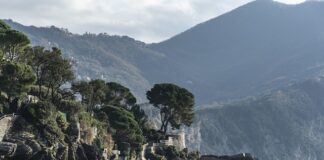 Ile kosztuje lekarz medycyny sportowej?