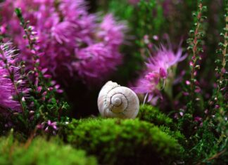 Jak zrobić sondę na Facebooku? Jak zrobić sondę na Facebooku?