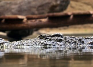 Jak brzmi zasada 7? Jak brzmi zasada 7?