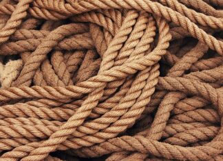 Na czym polega ustalenie badania naukowego? Na czym polega ustalenie badania naukowego?