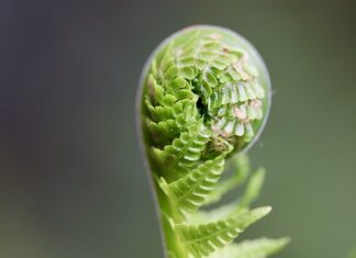Jak rozwijać przedszkole? Jak rozwijać przedszkole?